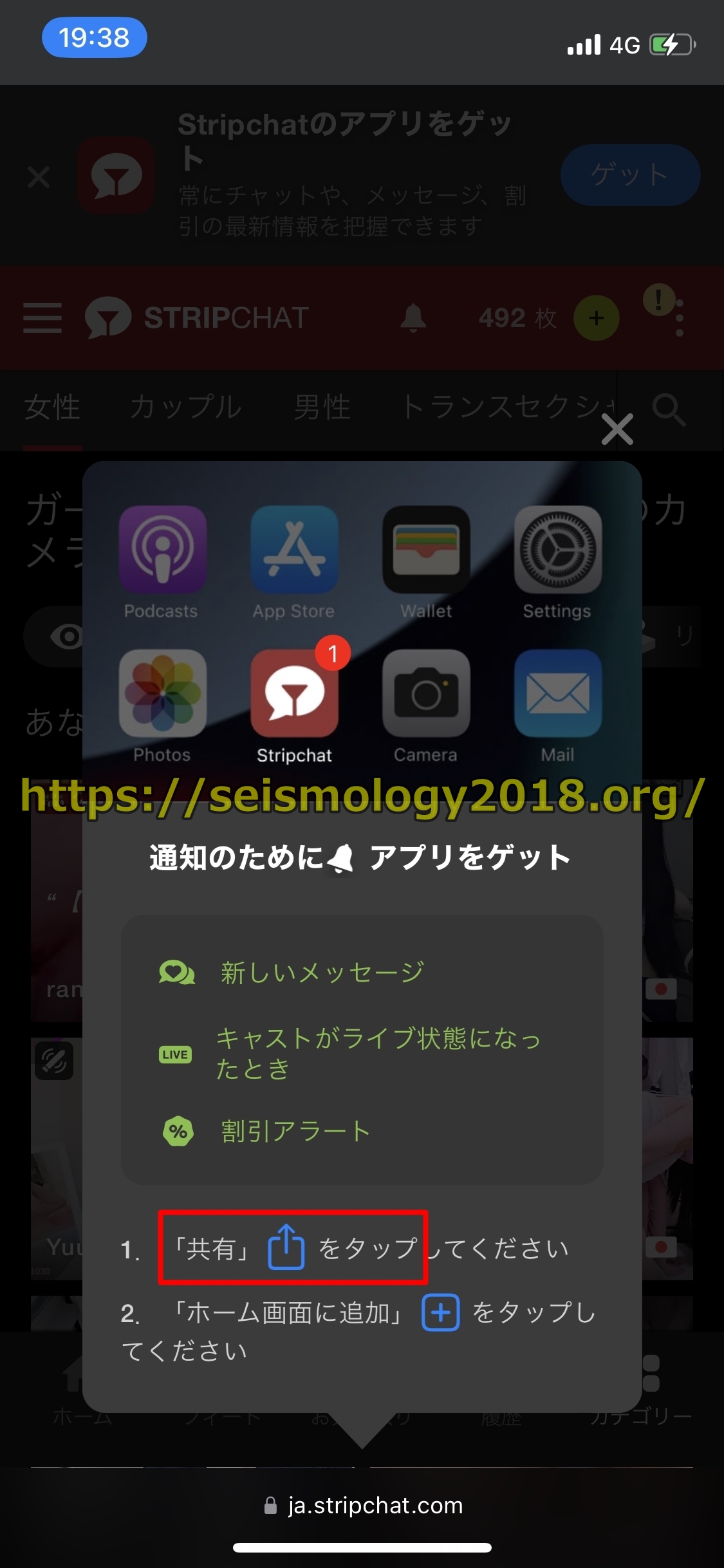 ストリップチャット