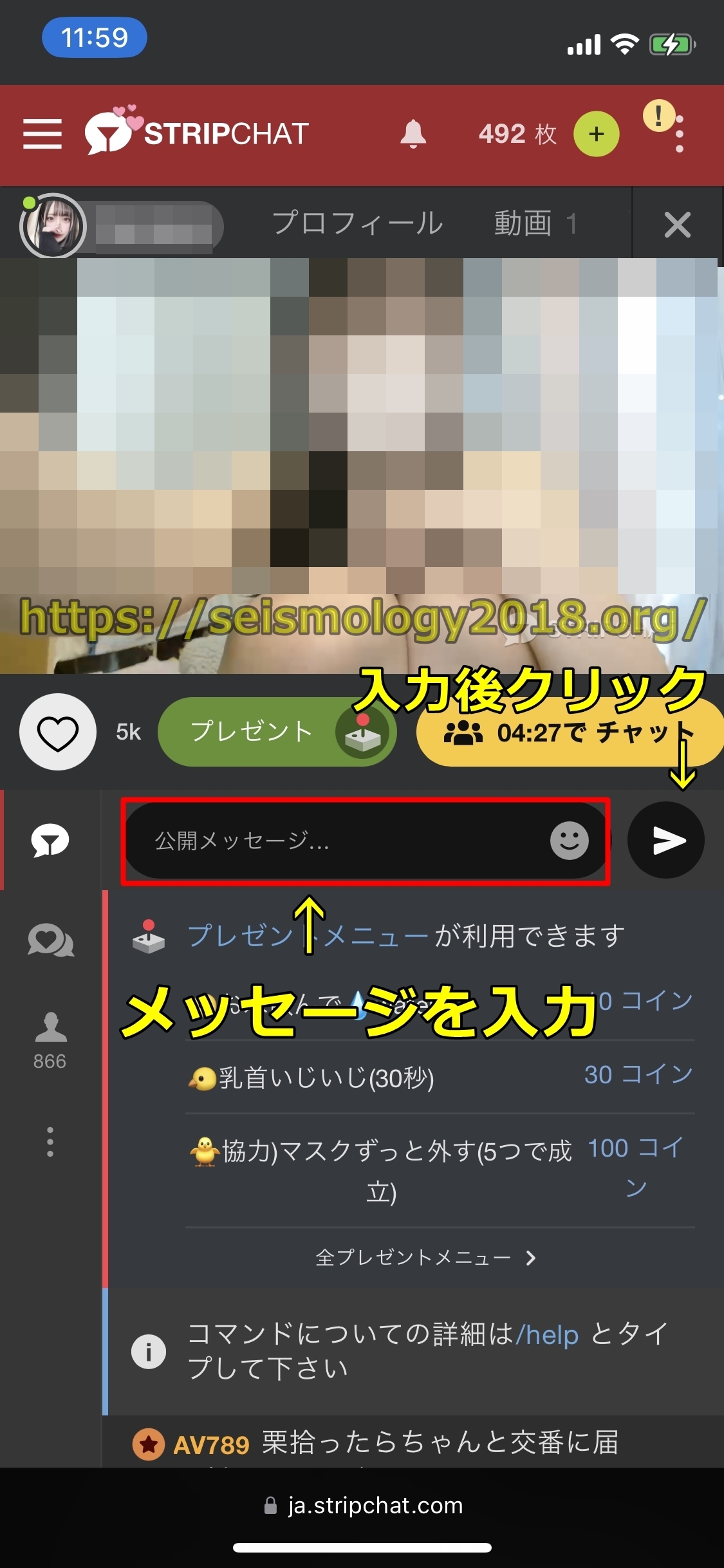 ストリップチャット