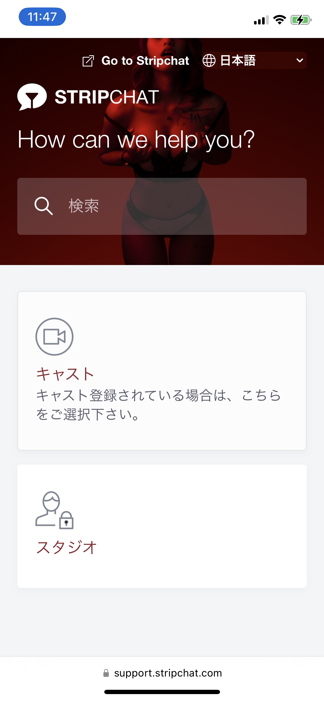 ストリップチャット