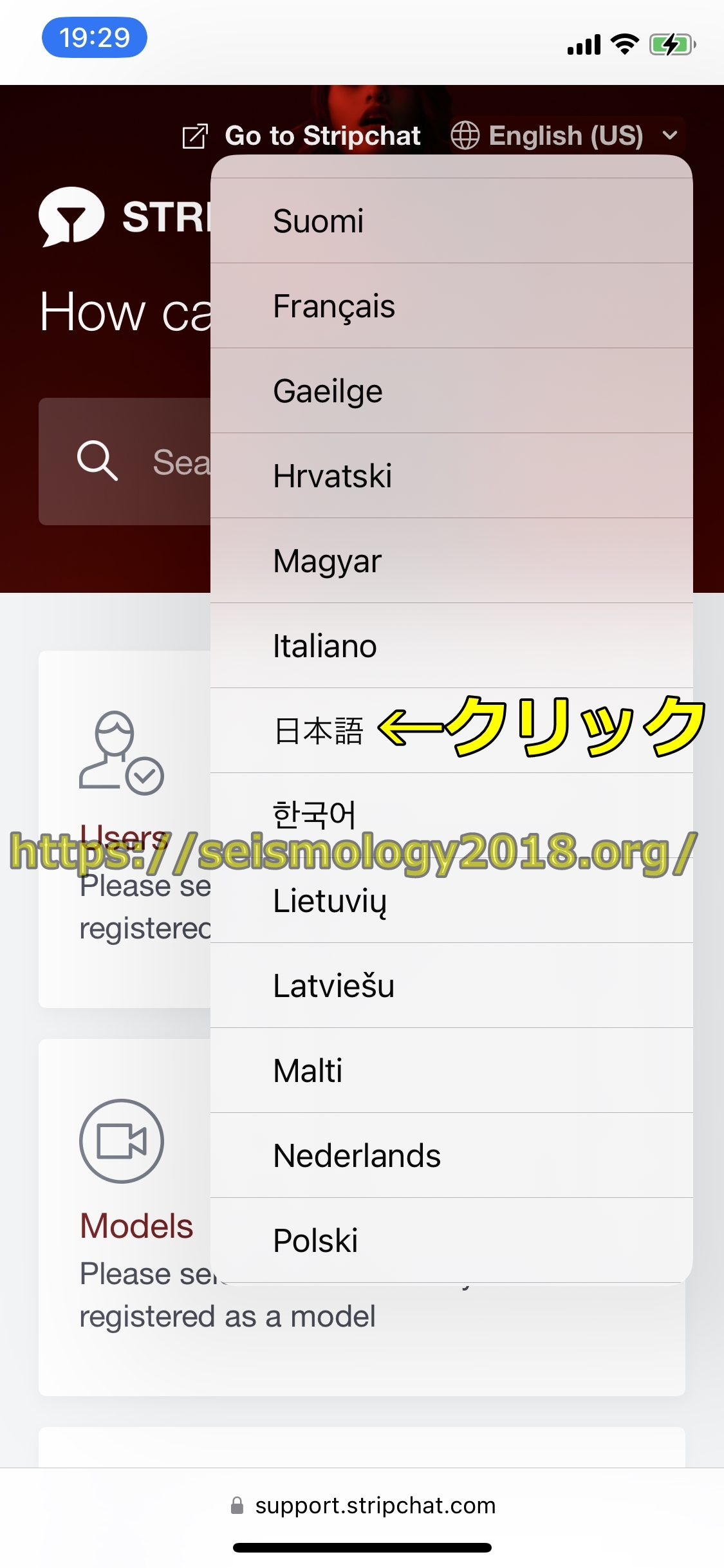 ストリップチャット