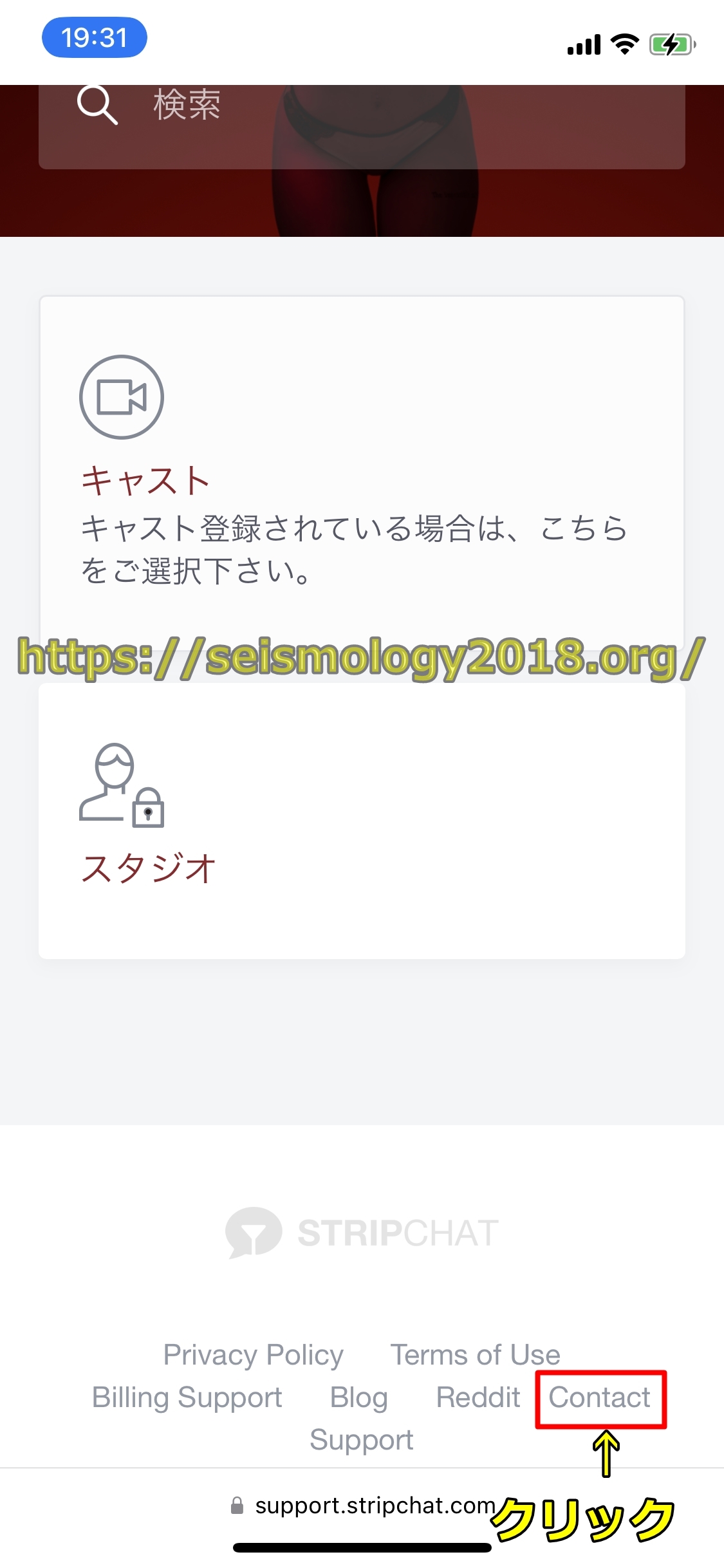 ストリップチャット