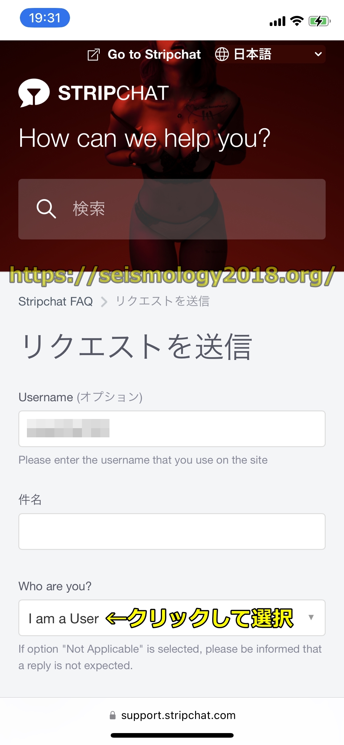 ストリップチャット